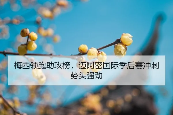 mei-xi-ling-pao-zhu-gong-bang-mai-a-mi-guo-ji-ji-hou-sai-chong-ci-shi-tou-qiang-jing-2-377.jpg