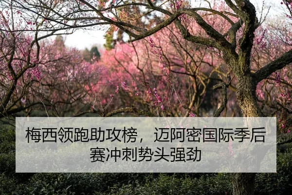 梅西领跑助攻榜，迈阿密国际季后赛冲刺势头强劲