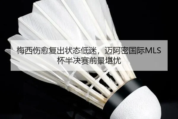 mei-xi-shang-yu-fu-chu-zhuang-tai-di-mi-mai-a-mi-guo-ji-bei-ban-jue-sai-qian-jing-kan-you-3-228.jpg