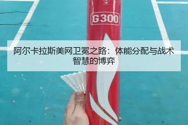 a-er-ka-la-si-mei-wang-wei-mian-zhi-lu-ti-neng-fen-pei-yu-zhan-shu-zhi-hui-de-bo-yi-3-580.jpg