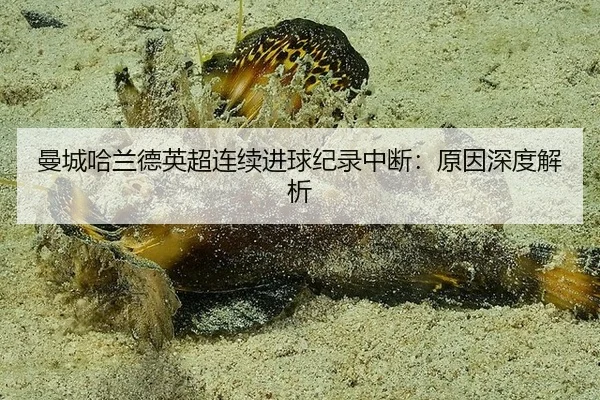 曼城哈兰德英超连续进球纪录中断：原因深度解析